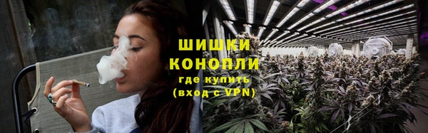 ГАЛЛЮЦИНОГЕННЫЕ ГРИБЫ Абаза
