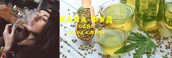 дживик Надым
