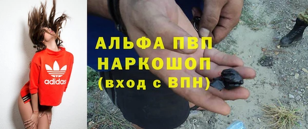 ГАЛЛЮЦИНОГЕННЫЕ ГРИБЫ Абаза