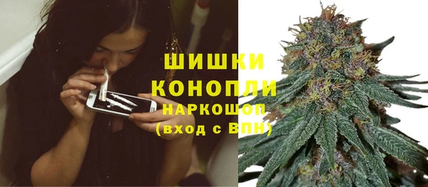 ГАЛЛЮЦИНОГЕННЫЕ ГРИБЫ Абаза