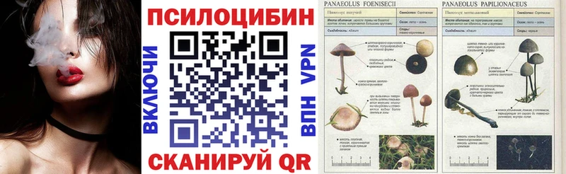 Галлюциногенные грибы Psilocybe  хочу   Павловский Посад 